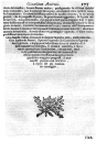 pg205.JPG